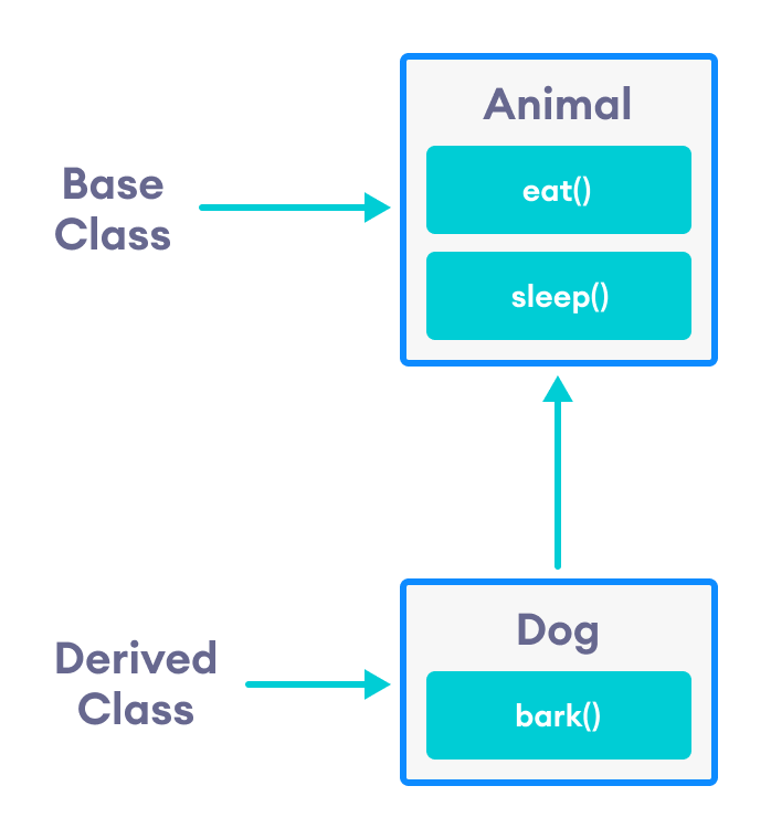 Dog class inherits from the Animal class